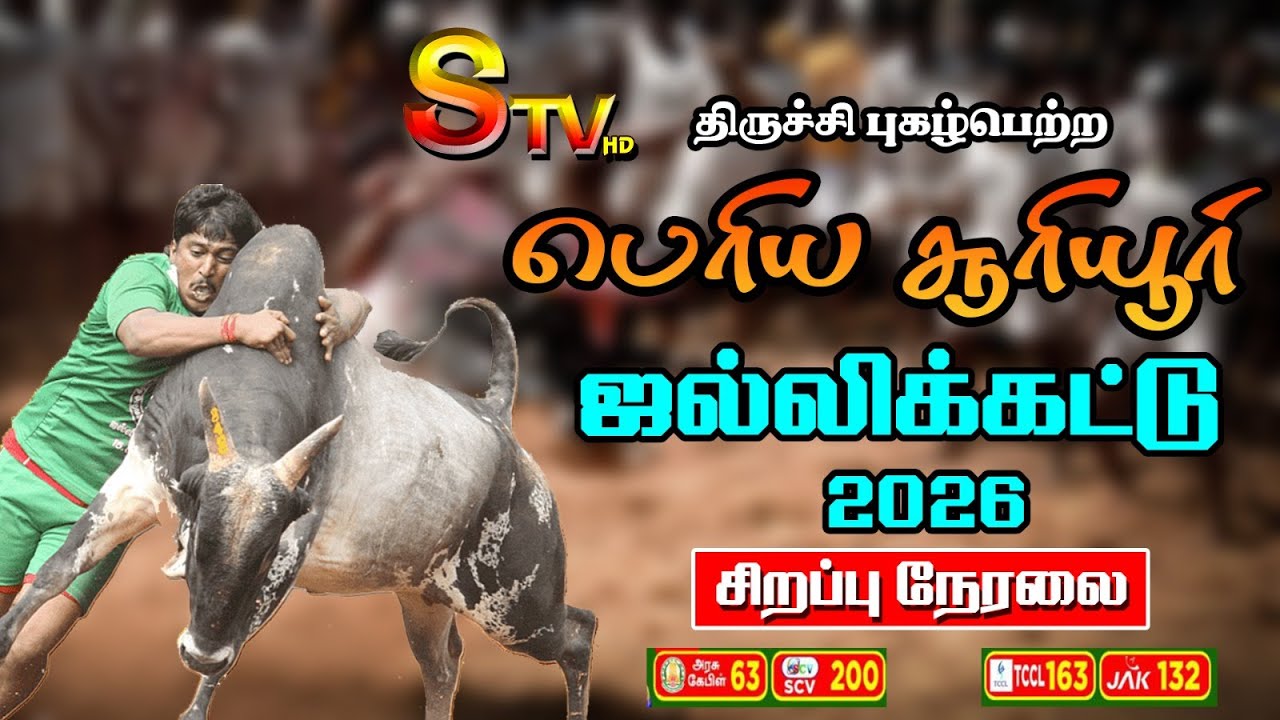 🔴LIVE : திருச்சி பெரிய சூரியூர் ஜல்லிக்கட்டு 2026 - சிறப்பு நேரலை | Suriyur Jallikattu | Stv Trichy