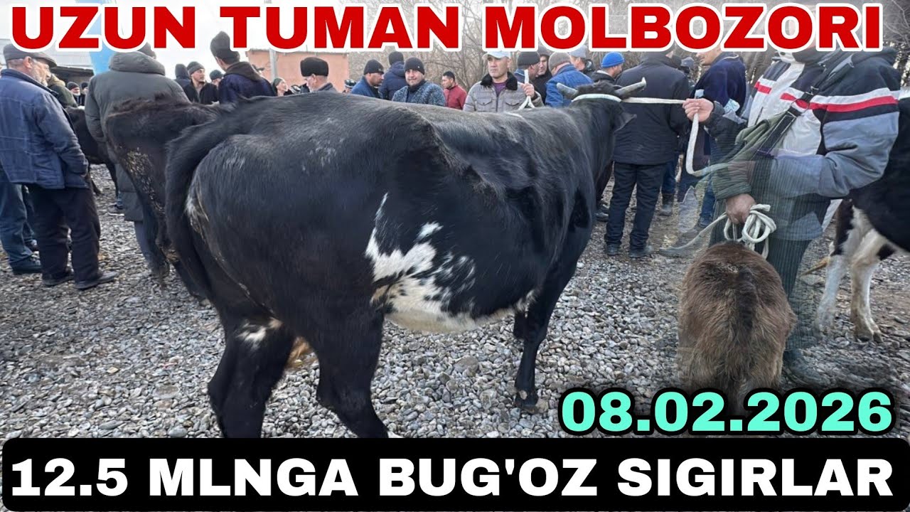 12.5 MLNGAYAM BUG'OZ SIGIR BOR EKAN UZUN TUMANI MOLBOZORI 