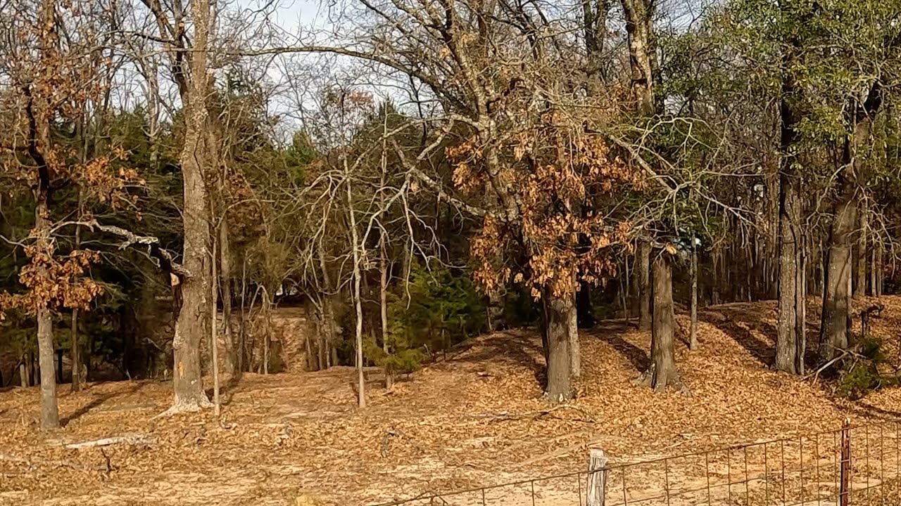 Searching For Earth Works In East Texas #14