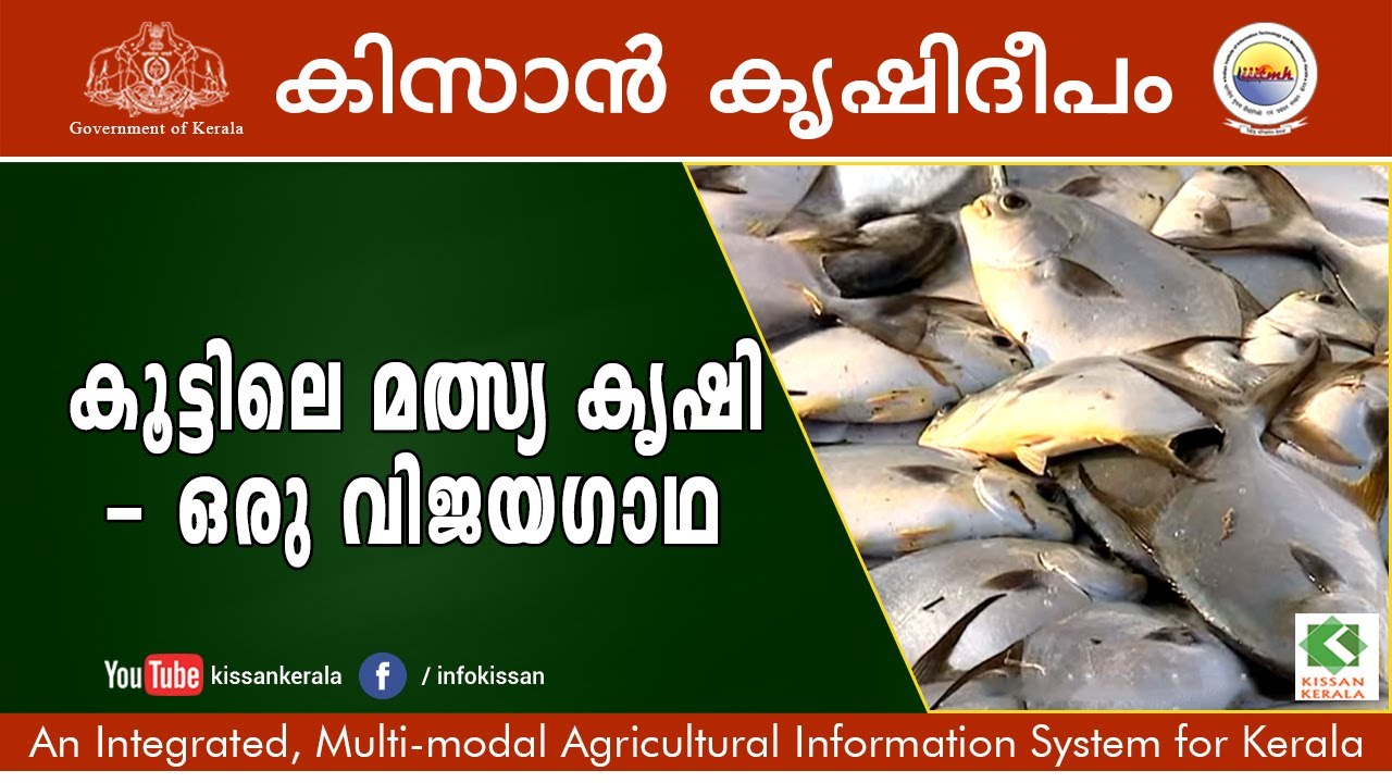 Documentary on Inland fish cultivation , cage cultivation at Ayiramthengu, Kollam -episode 640
