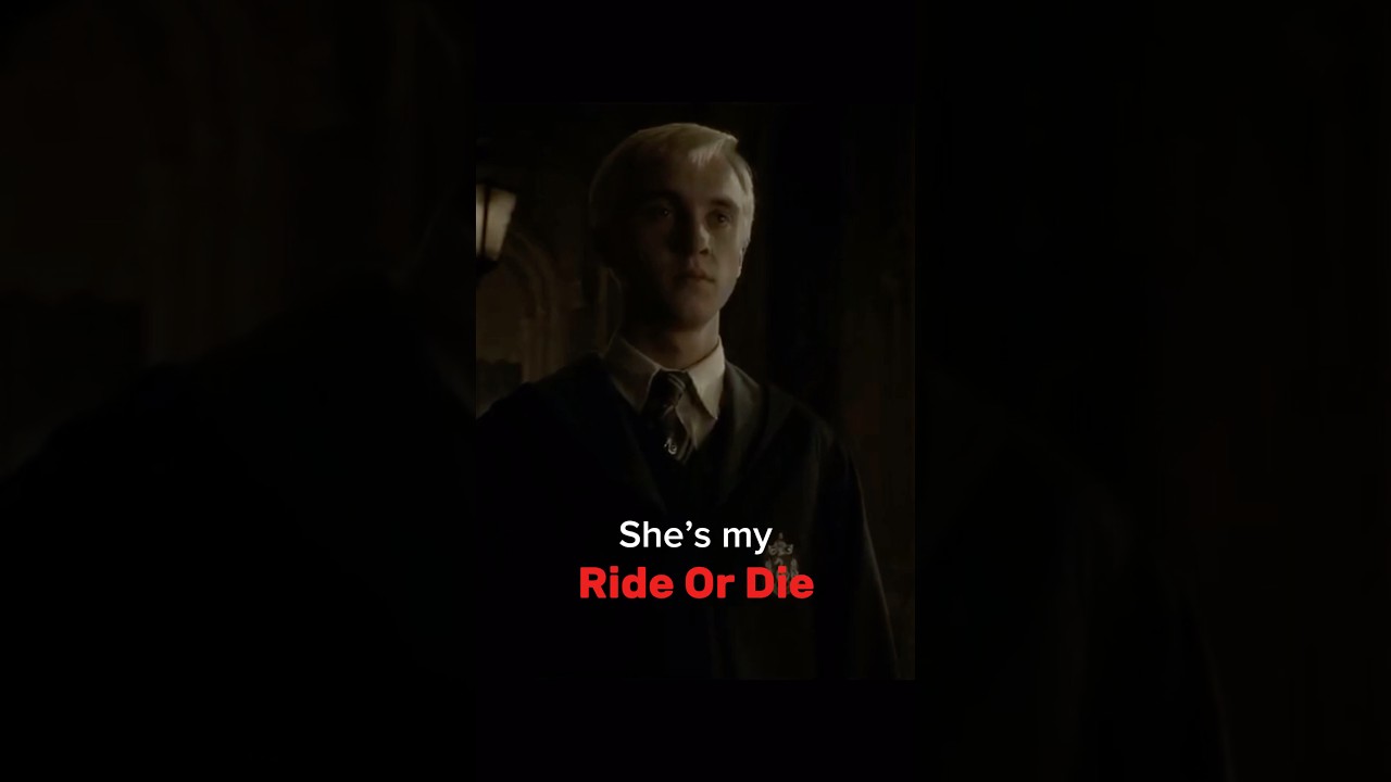 The Slytherin boys killed a Man #alibi #slytherinboys #mattheo #yn #theodorenott #dracomalfoy