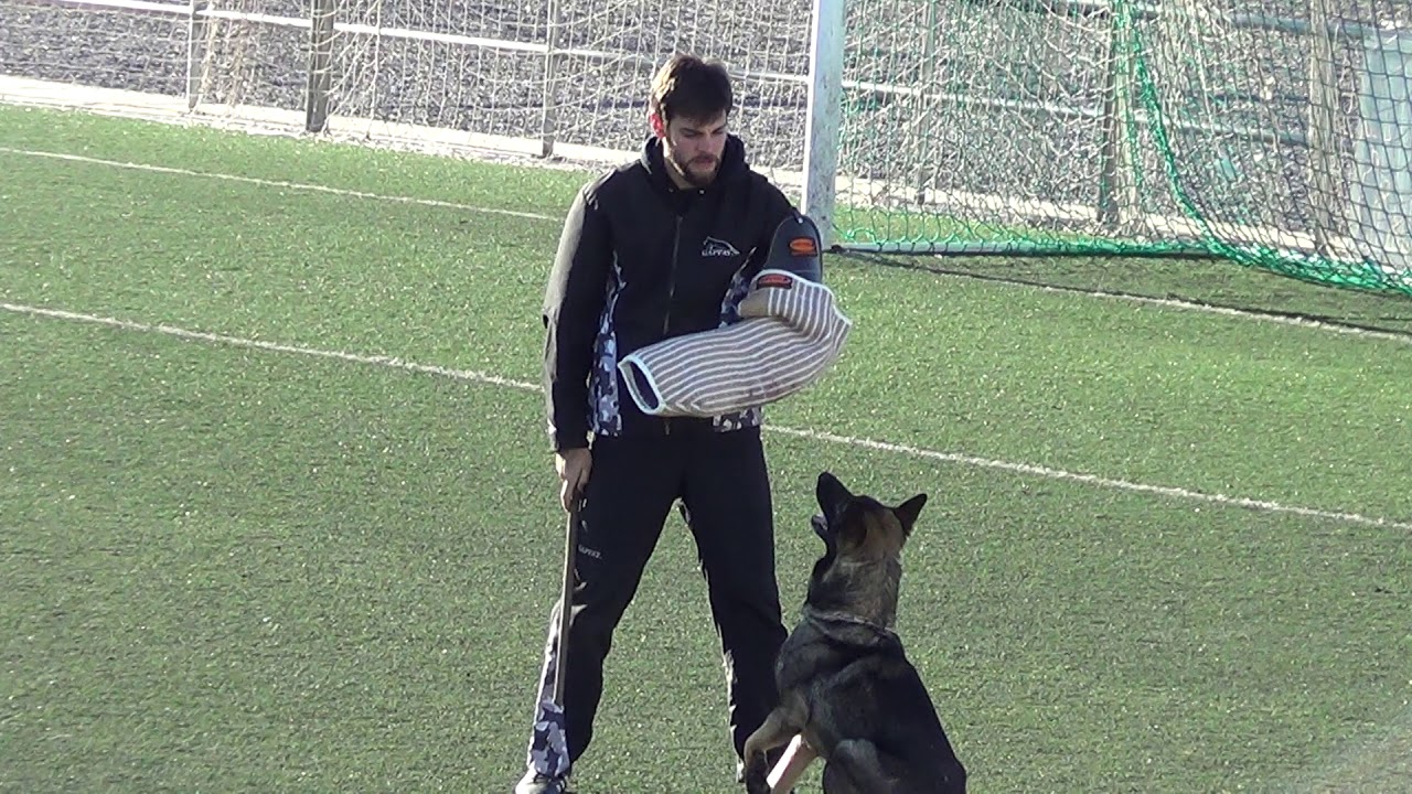 NACHO SIERRA & ATOM C80