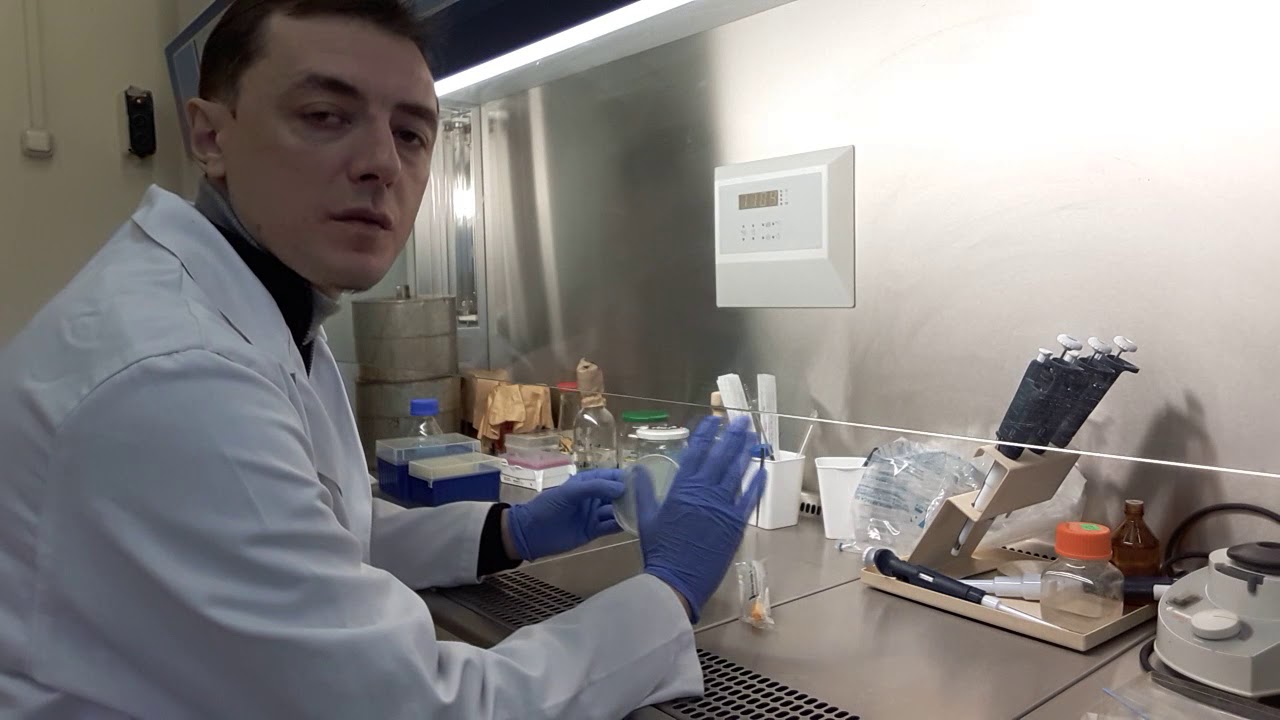 Определение грибковой обсемененности колбасы. Подсчет КОЕ грибов.
