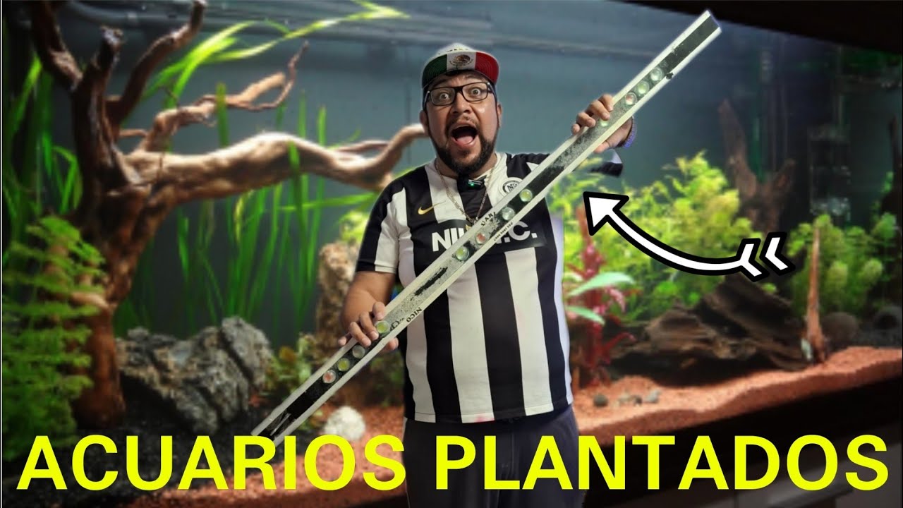 ACUARIO PLANTADO: &iquest;VALE LA PENA CAMBIAR TUS TUBOS T8 POR PANTALLAS LED?