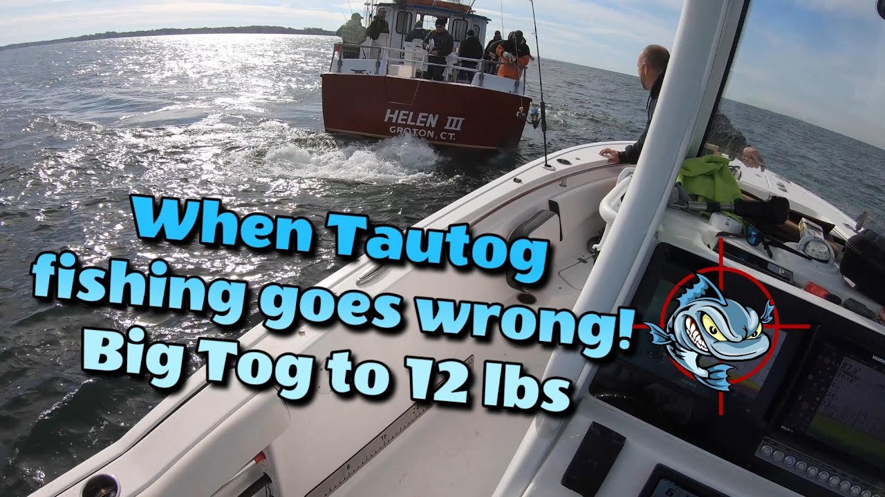 When Tautog fishing goes wrong! Big Tog to 12lbs