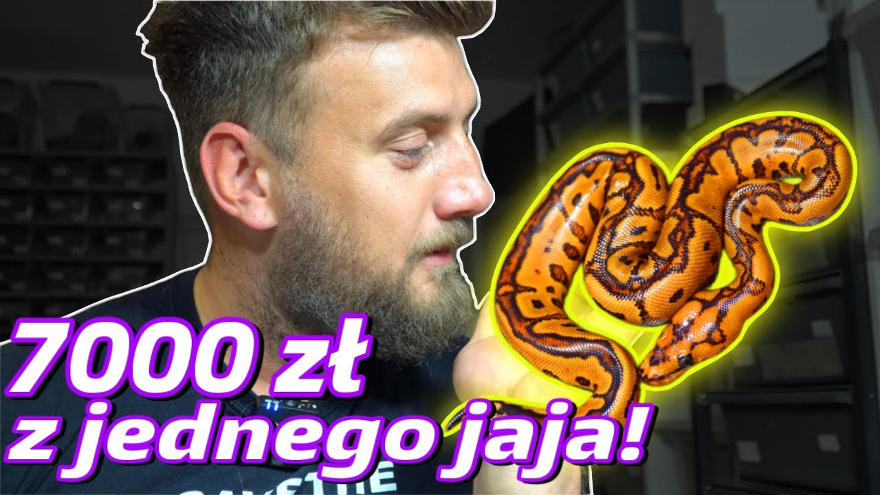 MIAŁEM TYLKO 6% SZANS NA SUKCES!