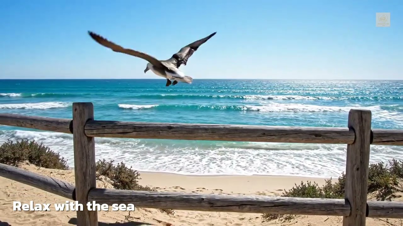 🎧 Music Relax Sea Bloom Piano – ดอกไม้ริมทะเลที่ผลิบานในใจ