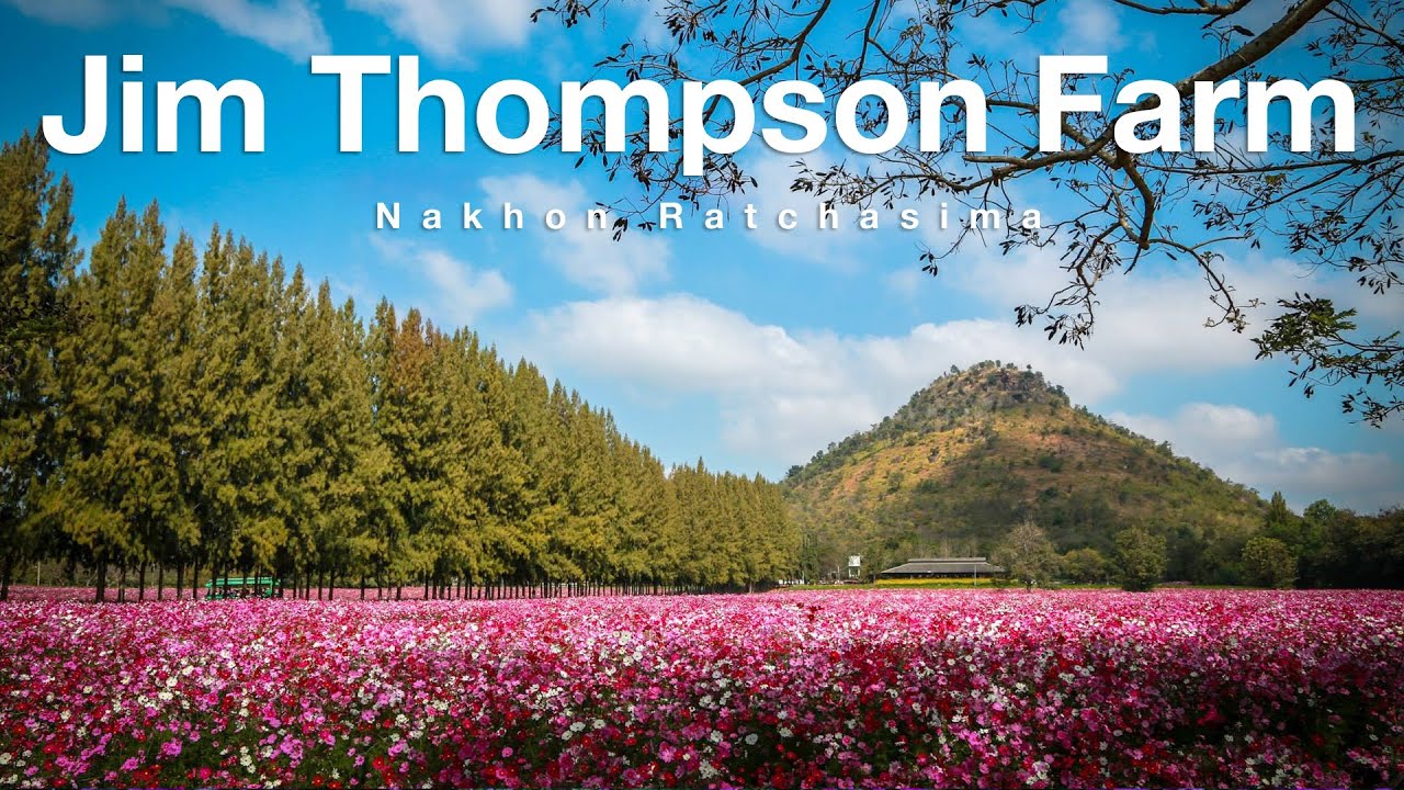 Jim Thompson Farm in Nakhon Ratchasima