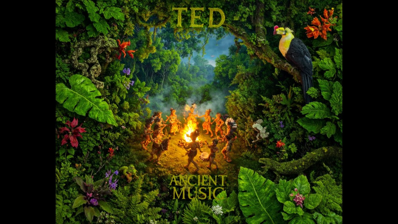 TED - Mother of Echoes (Official Audio Visualizer)