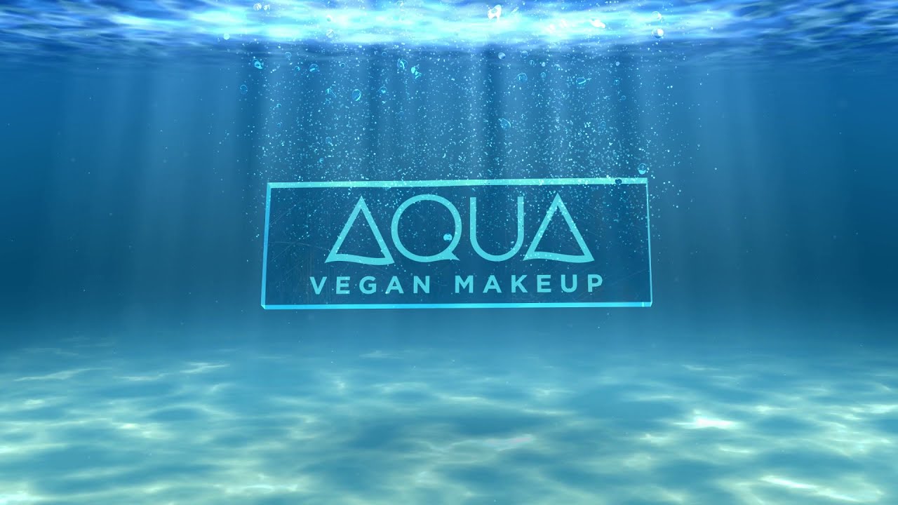 AQUA BY JESSE VEGAN MAKEUP - CONCEALING CREAM
