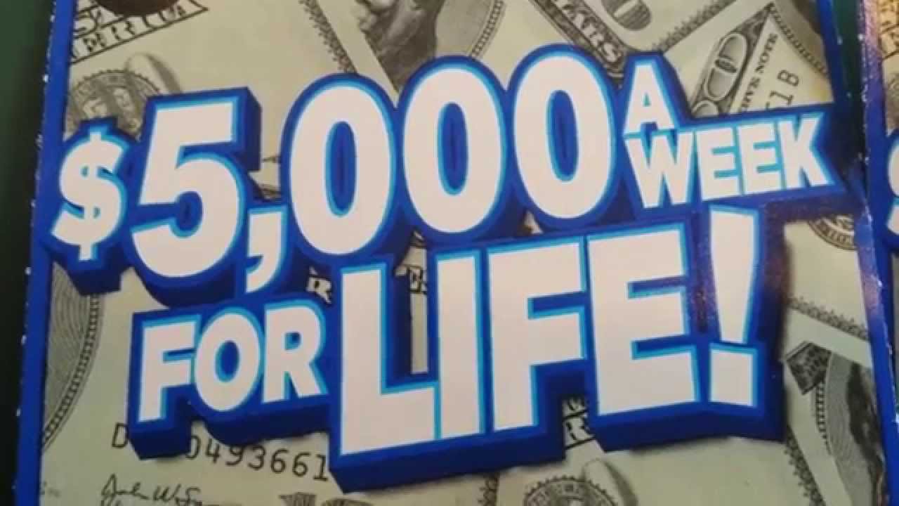 $5,000 A WK. FOR LIFE | BIG BLUE MUTHAS!!!