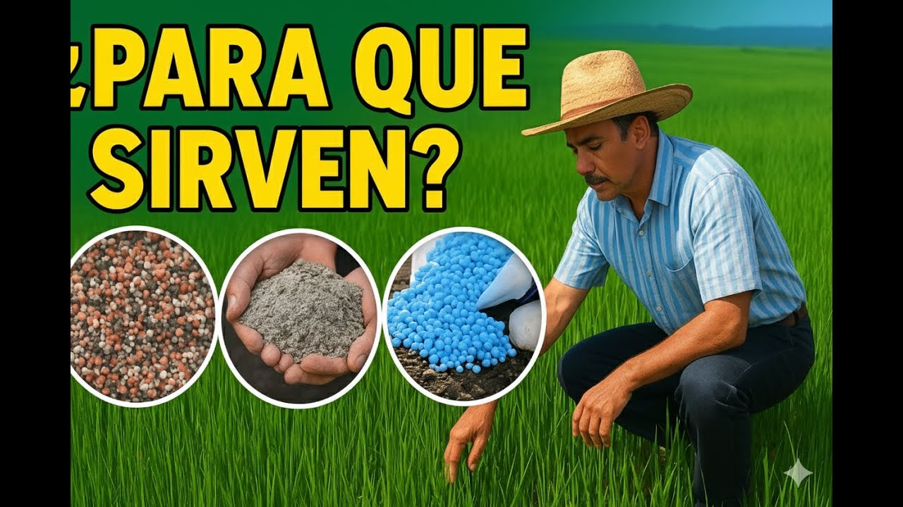 triple17¿Para Qué Sirven REALMENTE la Nitrofoska, Ceniza, Harina de Rocas y Triple 17?