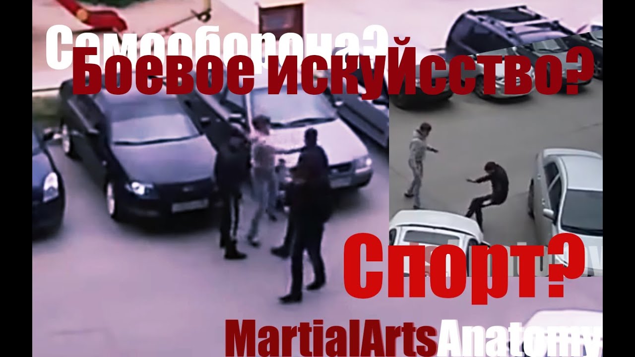 Разделение видов единоборств