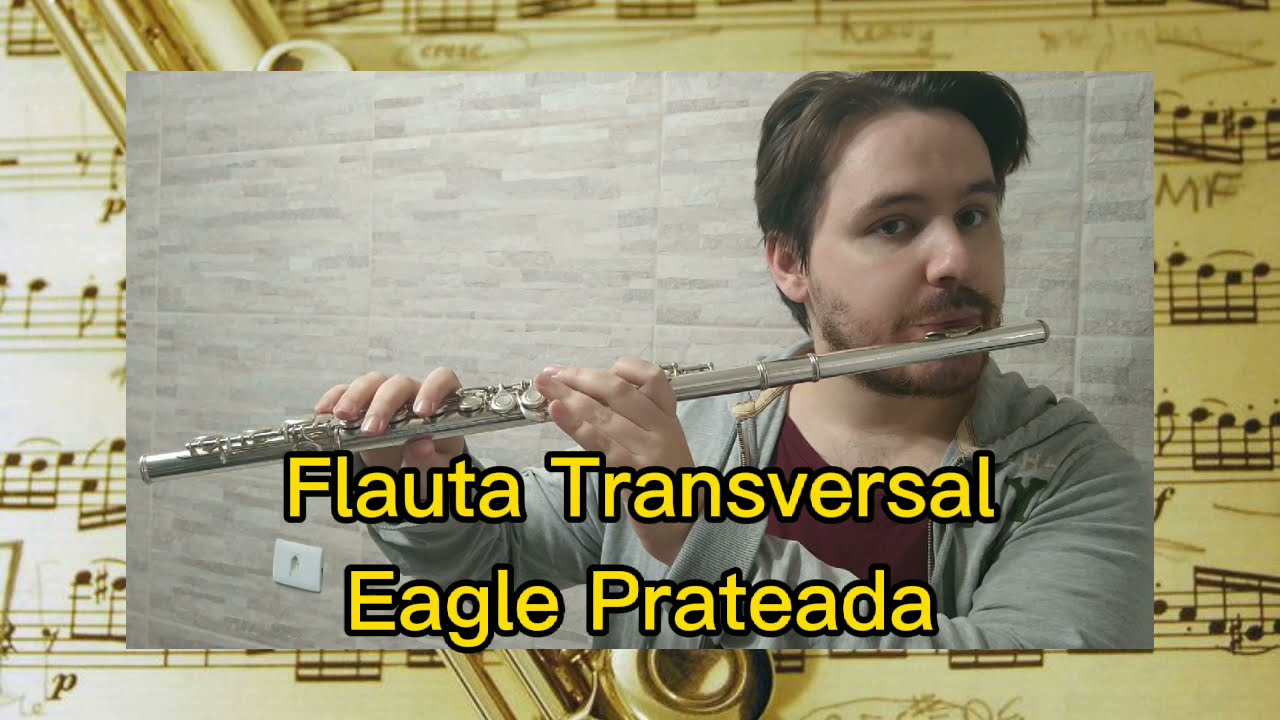 Flauta Transversal Eagle Prateada (vendida)