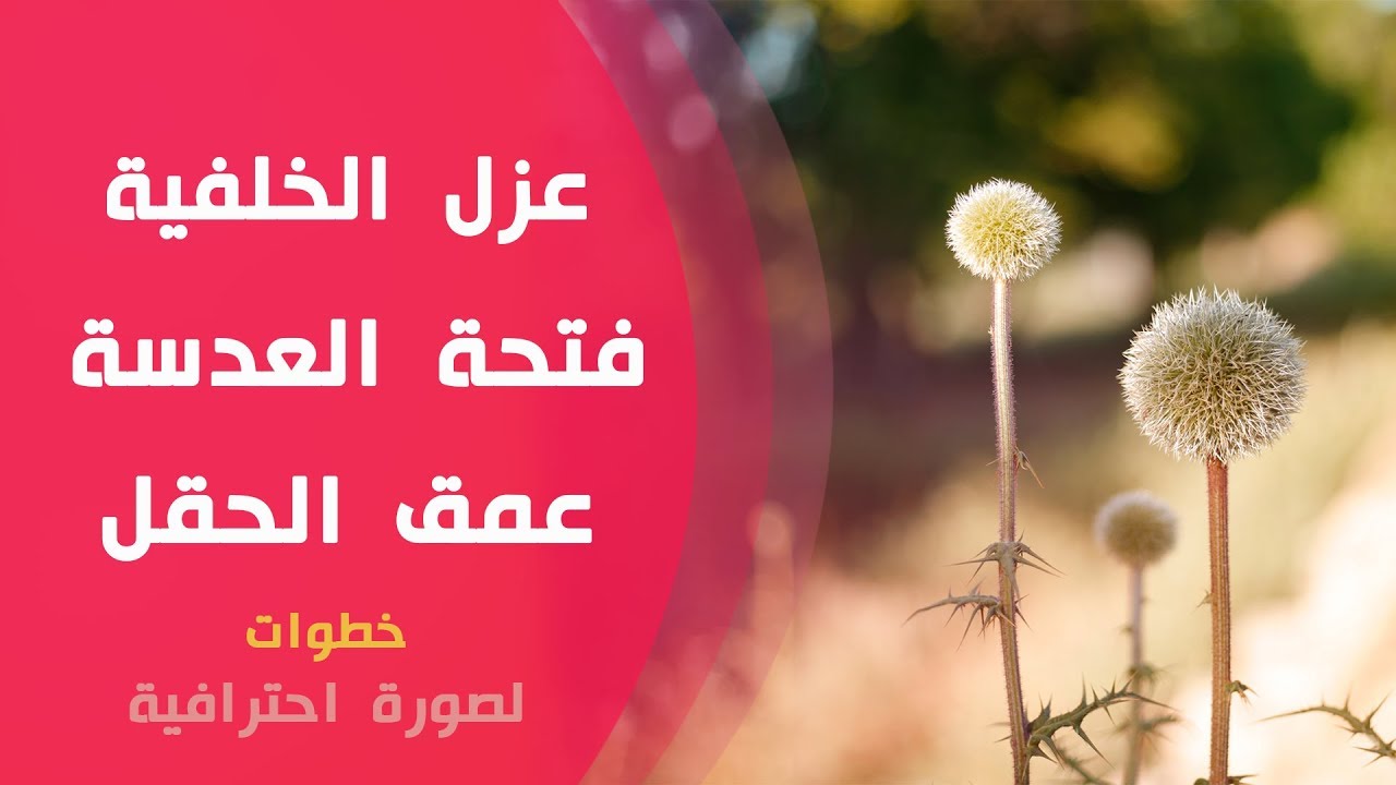 فتحة العدسة - العزل - عمق الحقل.. خطوات لصورة احترافية