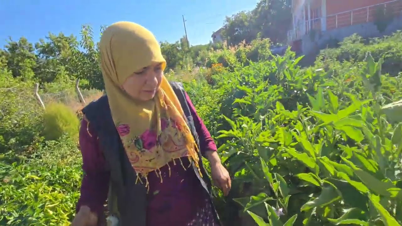 ÜLKER HANIM İLE BAHÇEMİZDE HADATLARI TOPLADIK KIŞLIK TURŞU NE ZAMAN KURULUR