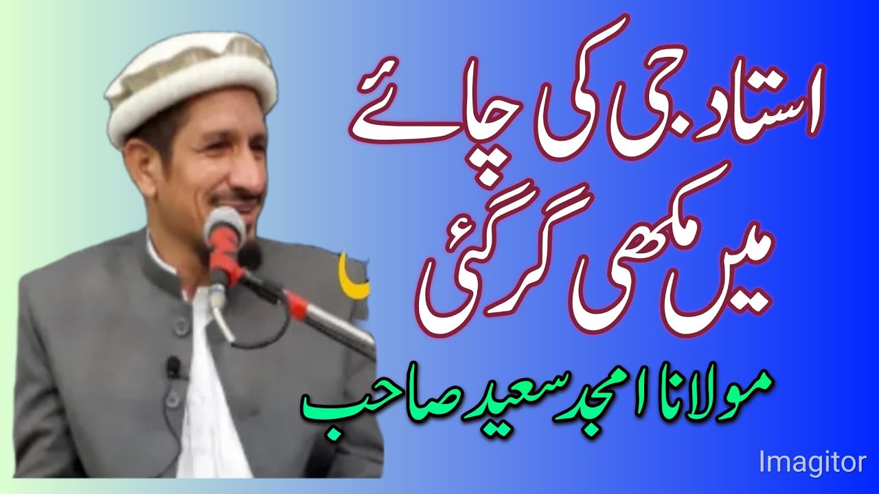 مولانا امجد سعید صاحب molana amjad saeed