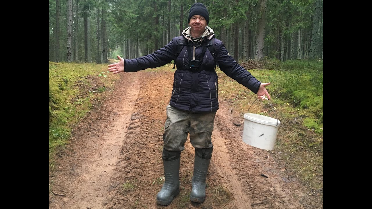 В ПОИСКАХ ОПЯТ,НО ЧТО ТО ПОШЛО НЕ ТАК!!! 03.11.2025 г.