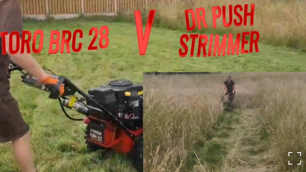 TORO  V  Dr Strimmer