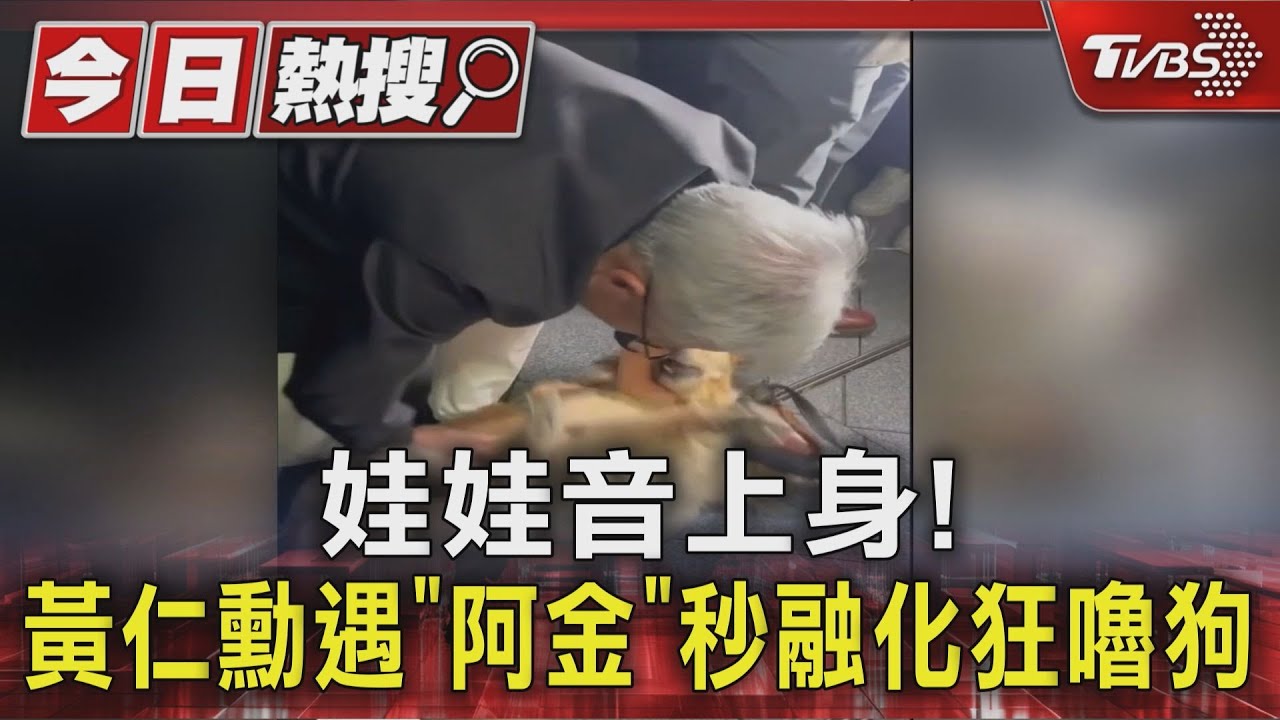 娃娃音上身! 黃仁勳遇「阿金」秒融化狂嚕狗｜TVBS新聞 @TVBSNEWS01