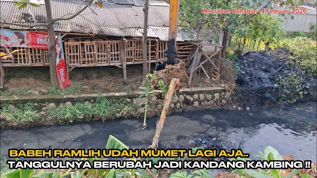 BABEH RAMLIH UDAH MUMET LAGI AJA ‼️ TANGGULNYA BERUBAH JADI KANDANG KAMBING ‼️