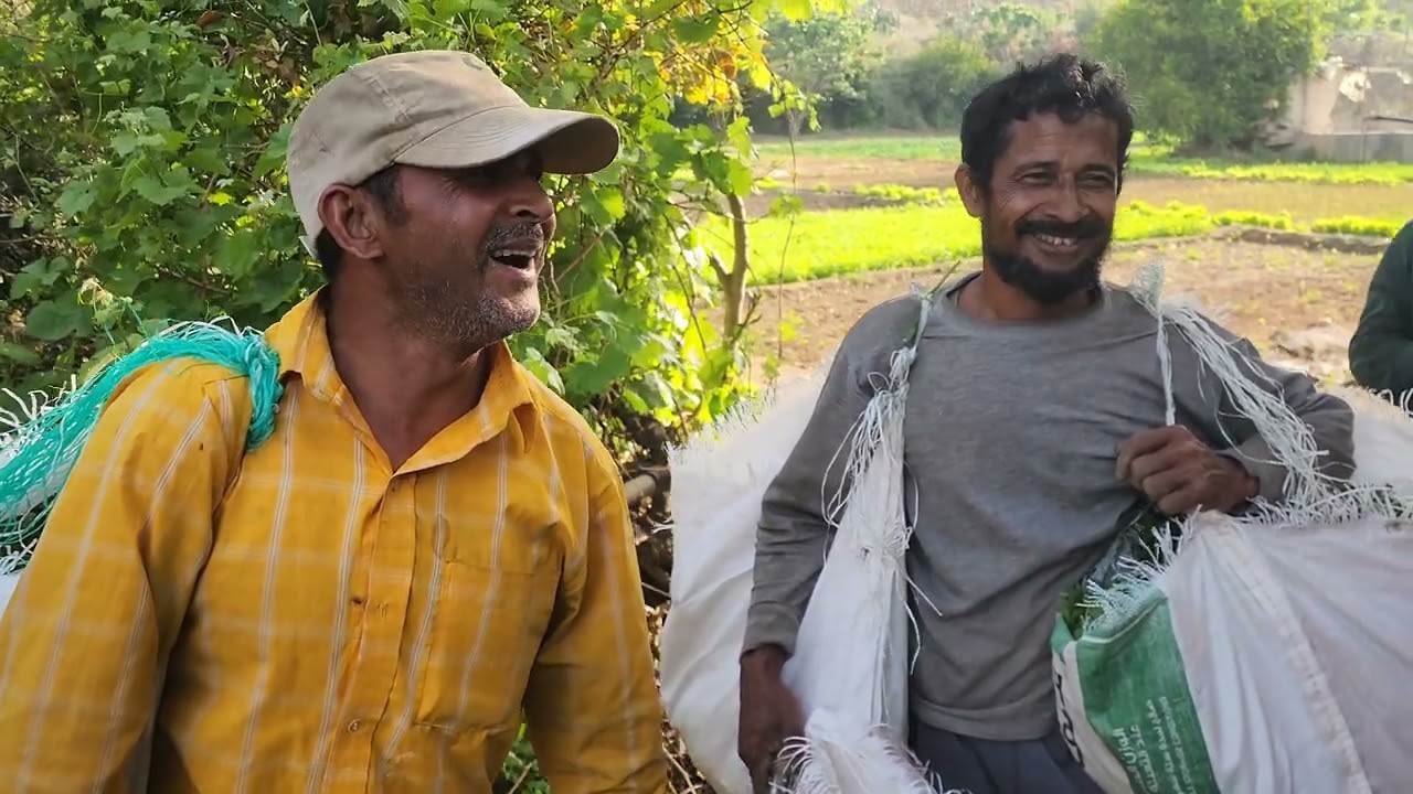 সৌদি আরবের মাজরা দেখতে কেমন।