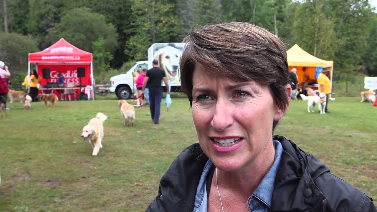 Golden Rescue: 25th Anniversary Golden Rescue Celebration & Picnic