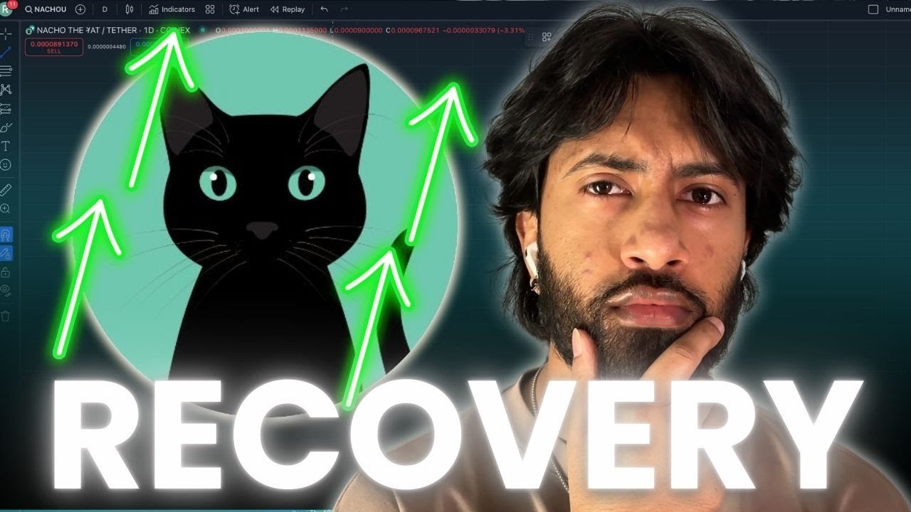 CAN $NACHO THE KAT RECOVER? BEST KRC-20 MEME COIN! BUY NOW