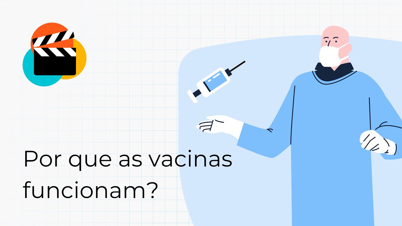 Por que as vacinas funcionam?