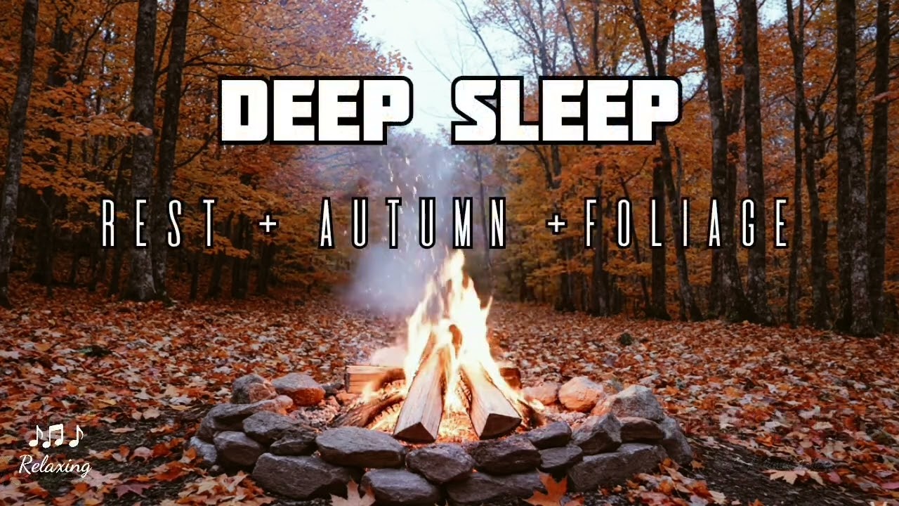 Autumn Forest Campfire 🍂🔥 8 Hours of Relaxing Fire Sounds & Nature