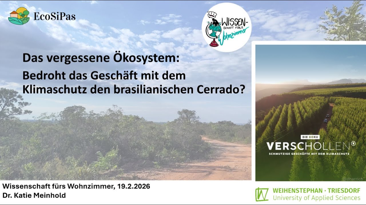 Das vergessene Ökosystem:Bedroht das Geschäft mit dem Klimaschutz den brasilianischen Cerrado?