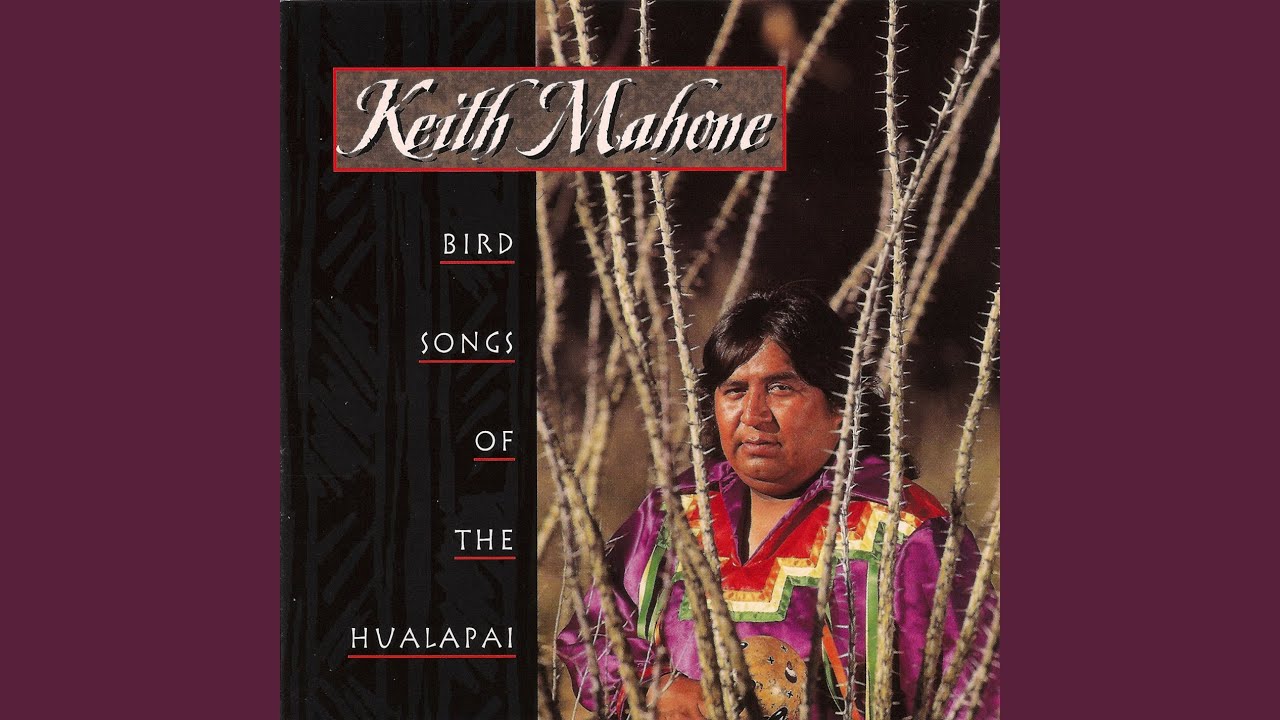Bird Song