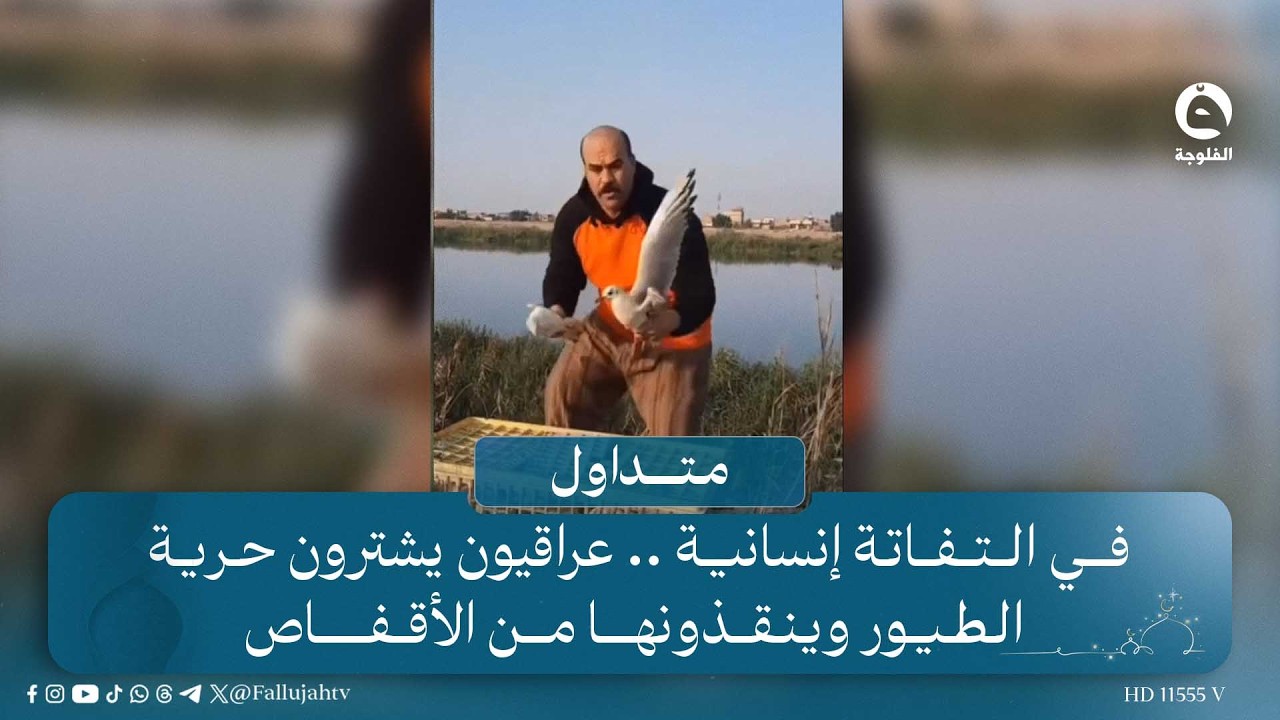 في التفاتة إنسانية .. عراقيون يشترون حرية الطيور وينقذونها من الأقفاص #قناة_الفلوجة | #متداول