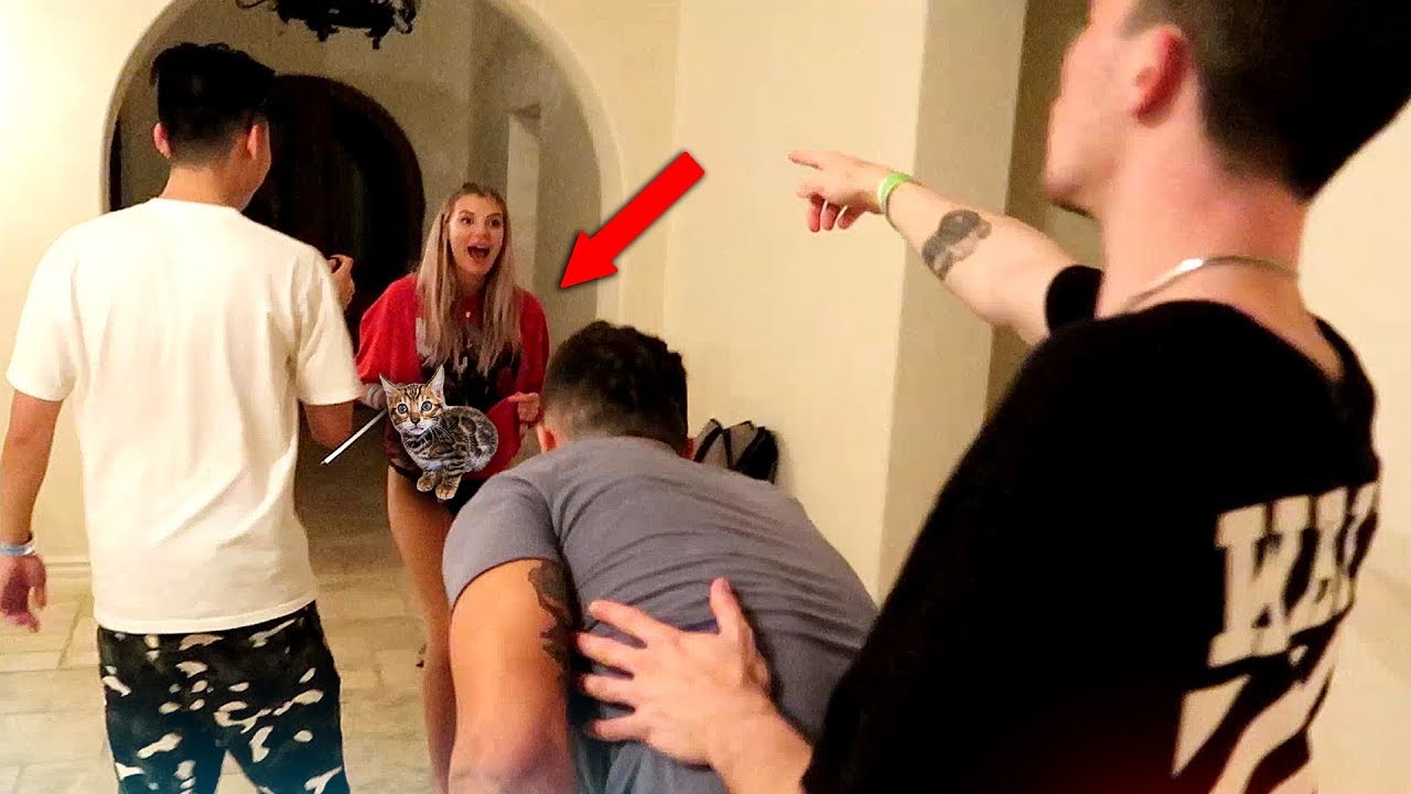 ALISSA VIOLET STOLE MY CAT...