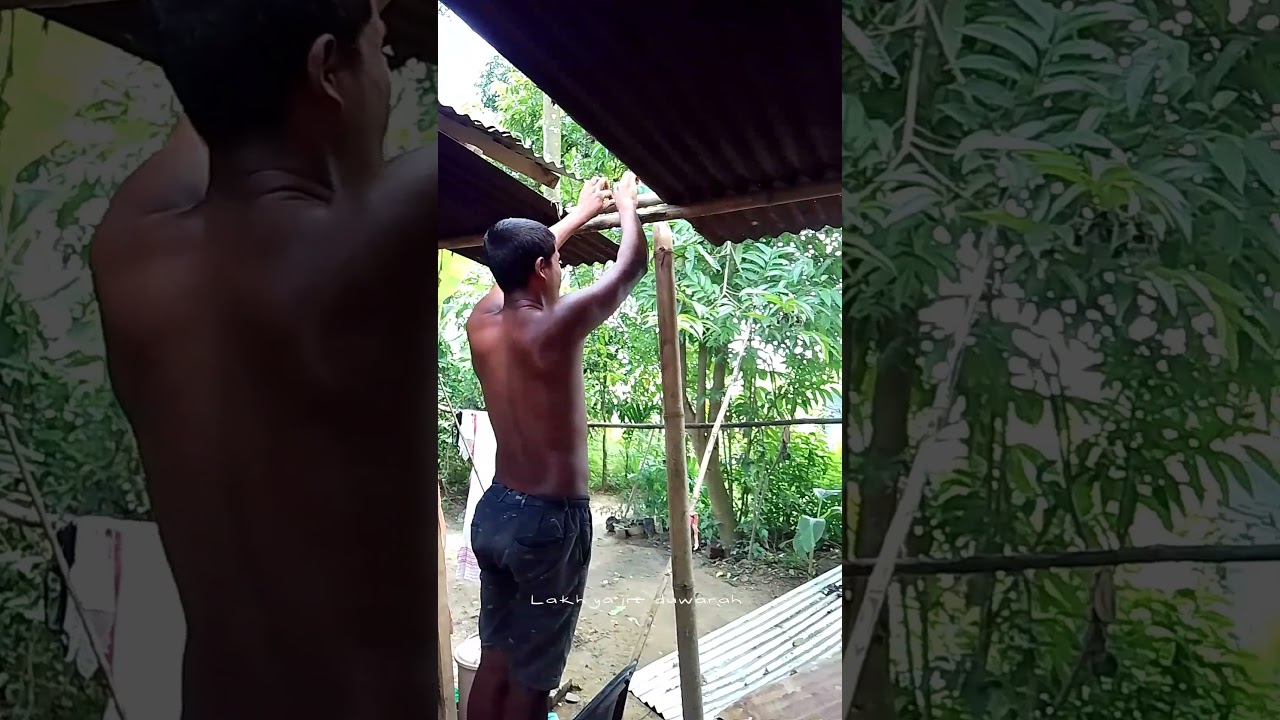 Assamese minivlog || আজি মাছ ধৰিলোঁ ||