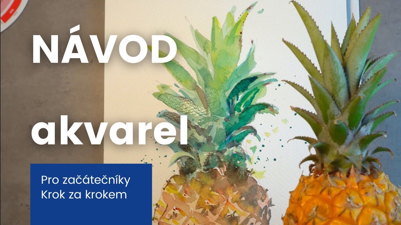 Akvarel návod pro začátečníky- Ananas