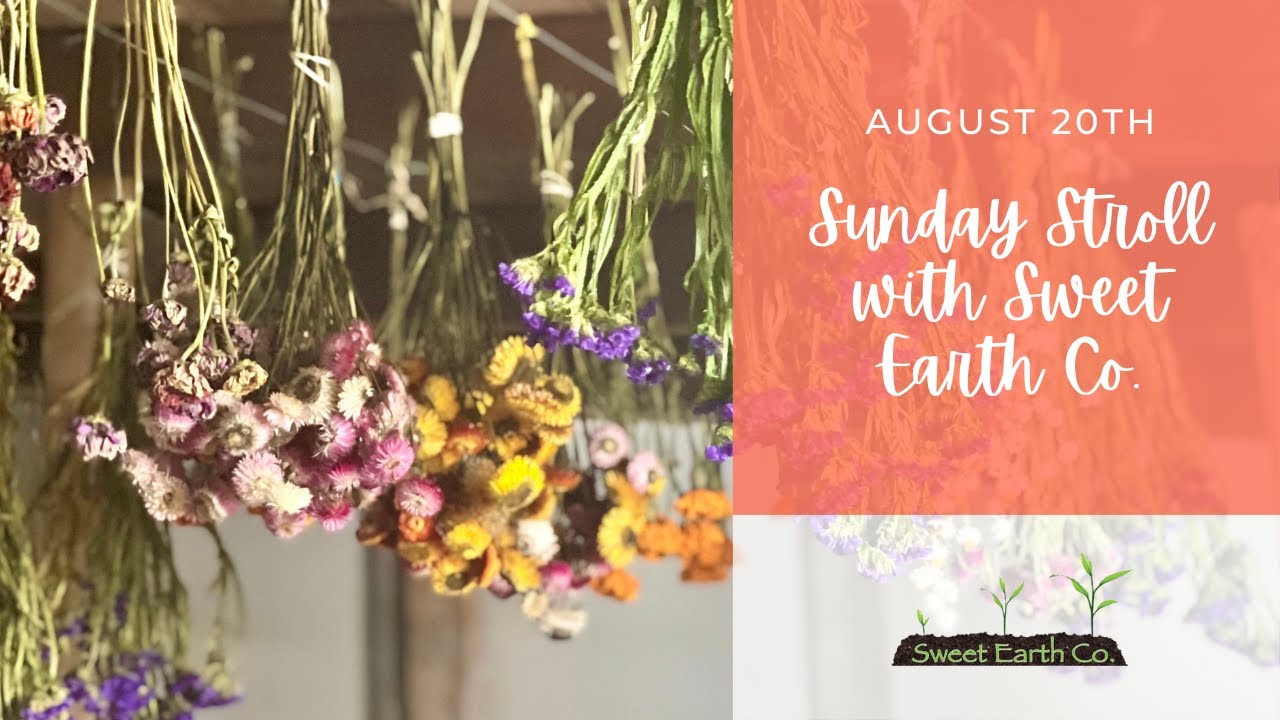 Preserve Your Floral Bounty | Sunday Stroll with Sweet Earth Co. | August 20, 2023
