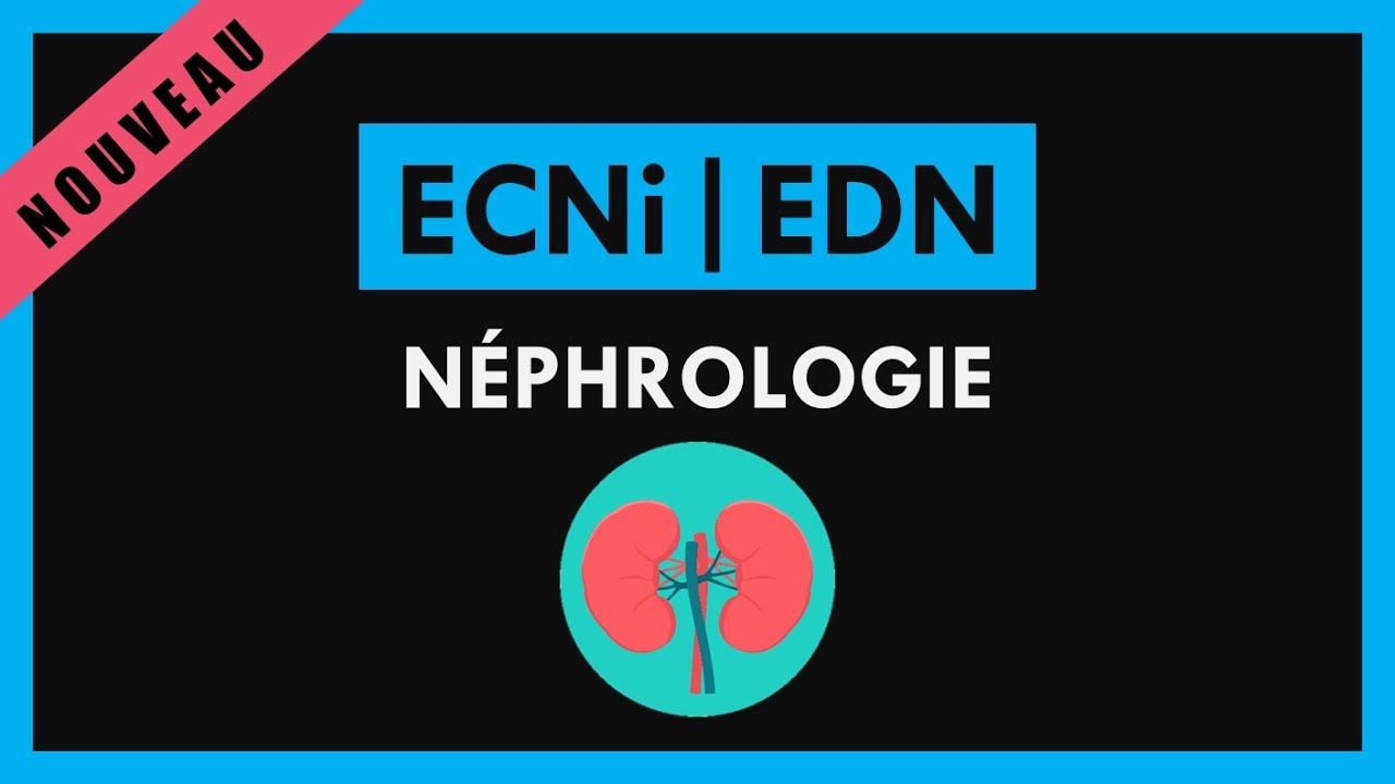 ECNi / ECN / EDN [Conf&eacute;rence] - N&eacute;phrologie