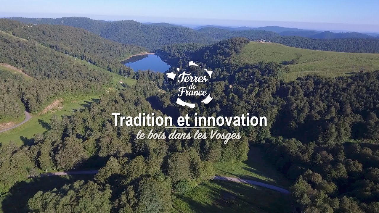 Tradition et innovation : le bois dans les Vosges - Terres de France