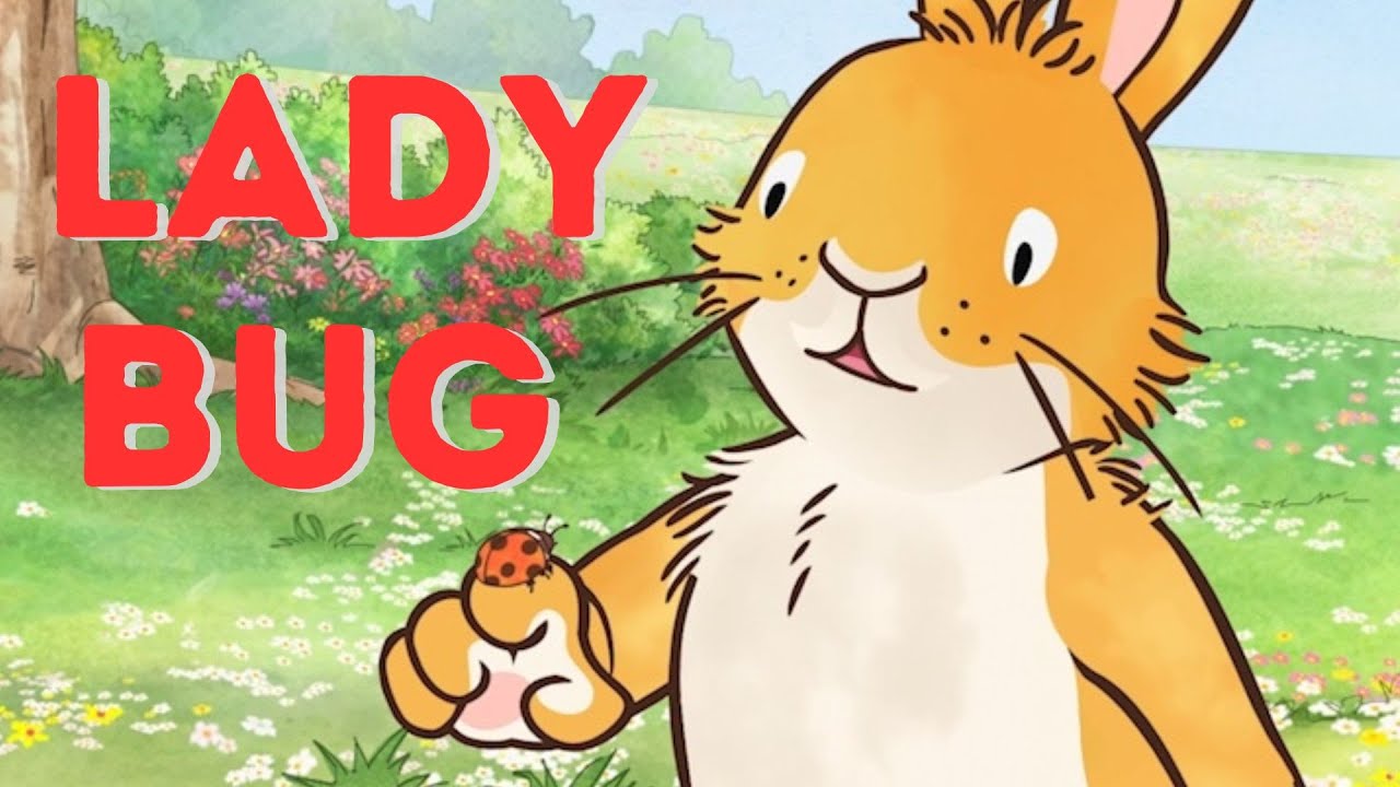 Lady Bug - a new friend.