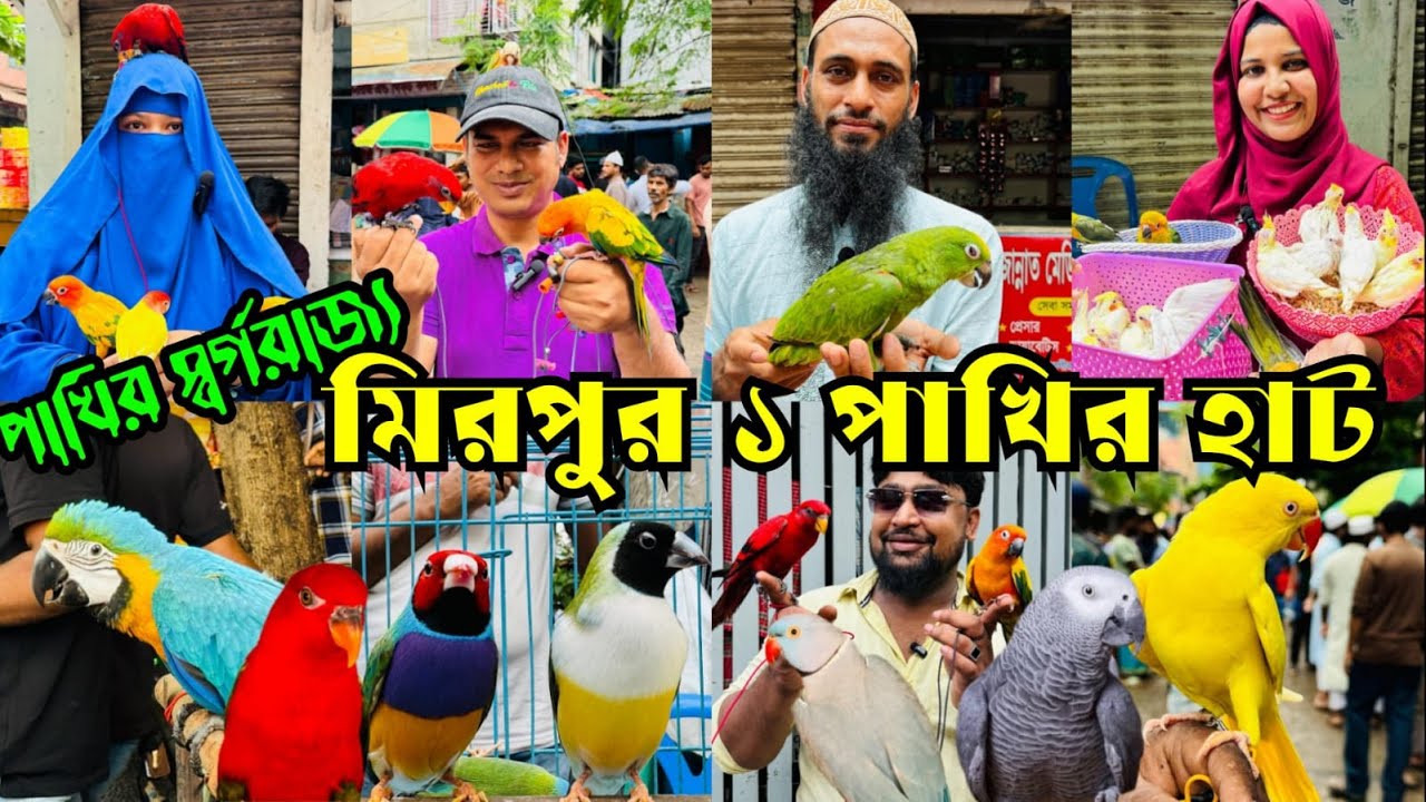 পাখির স্বর্গরাজ্য মিরপুর ১ পাখির হাট | Mirpur 1 Pakhir Hat | সানের দা*ম কমেছে #viralvideo
