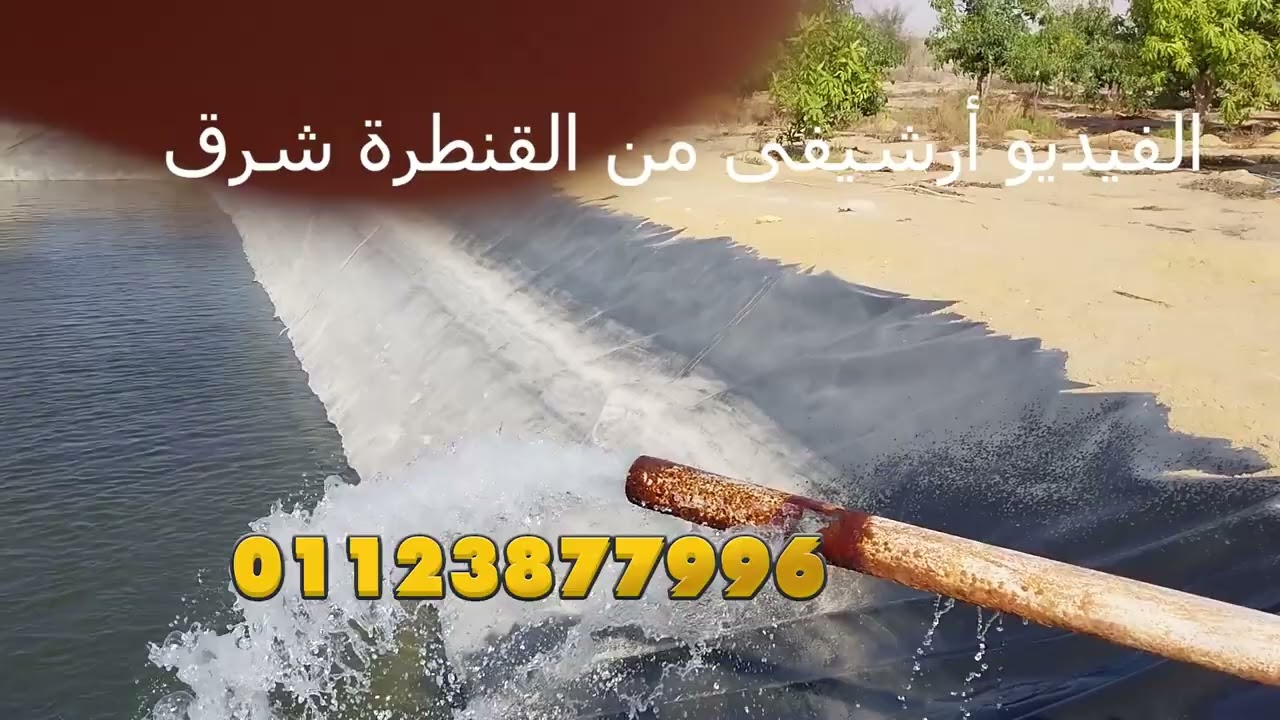 أرض زراعية للمشاركة بالإسماعيلية | ري نيلي وتربة ممتازة فرصة زراعة مانجو بفدان واحد فقط الجزء الأول