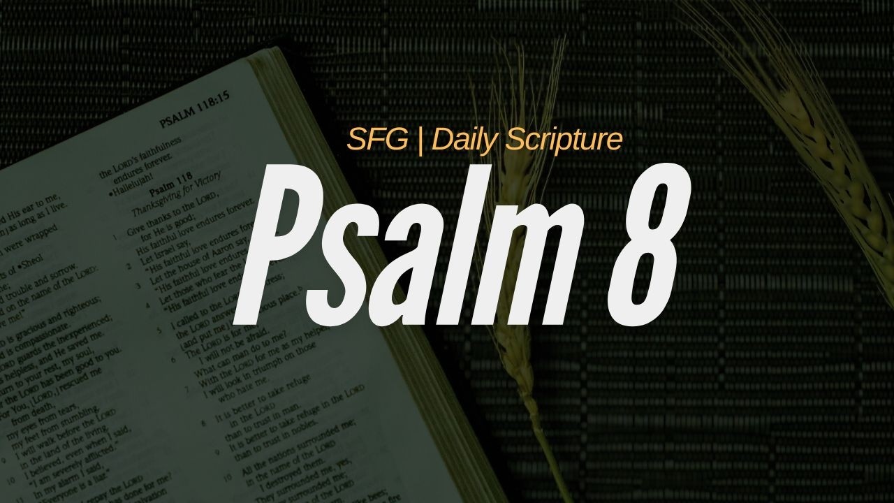 Psalm 8 | The Majesty of God | SFG Daily Scripture