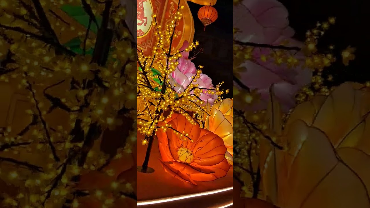 Chinese New Year 2026 #youtubevideo #CNY2026 #trending #warmweather #firehorse2026