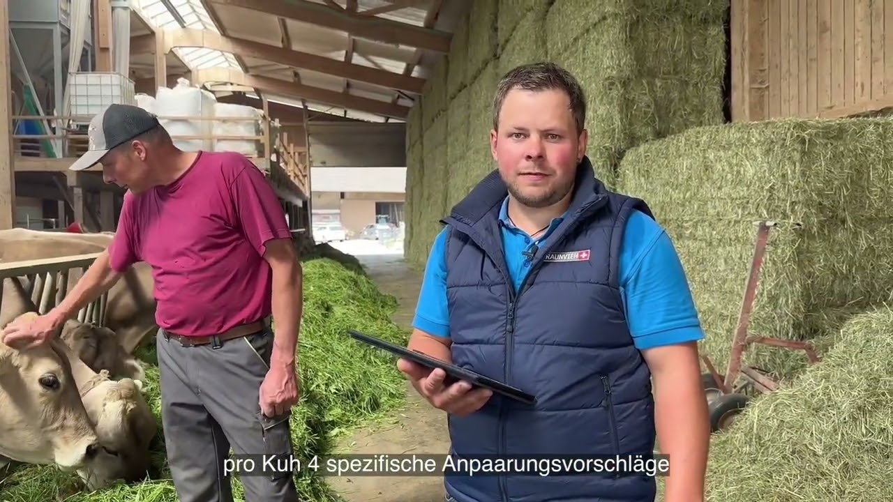 Zuchtberatung von Braunvieh Schweiz