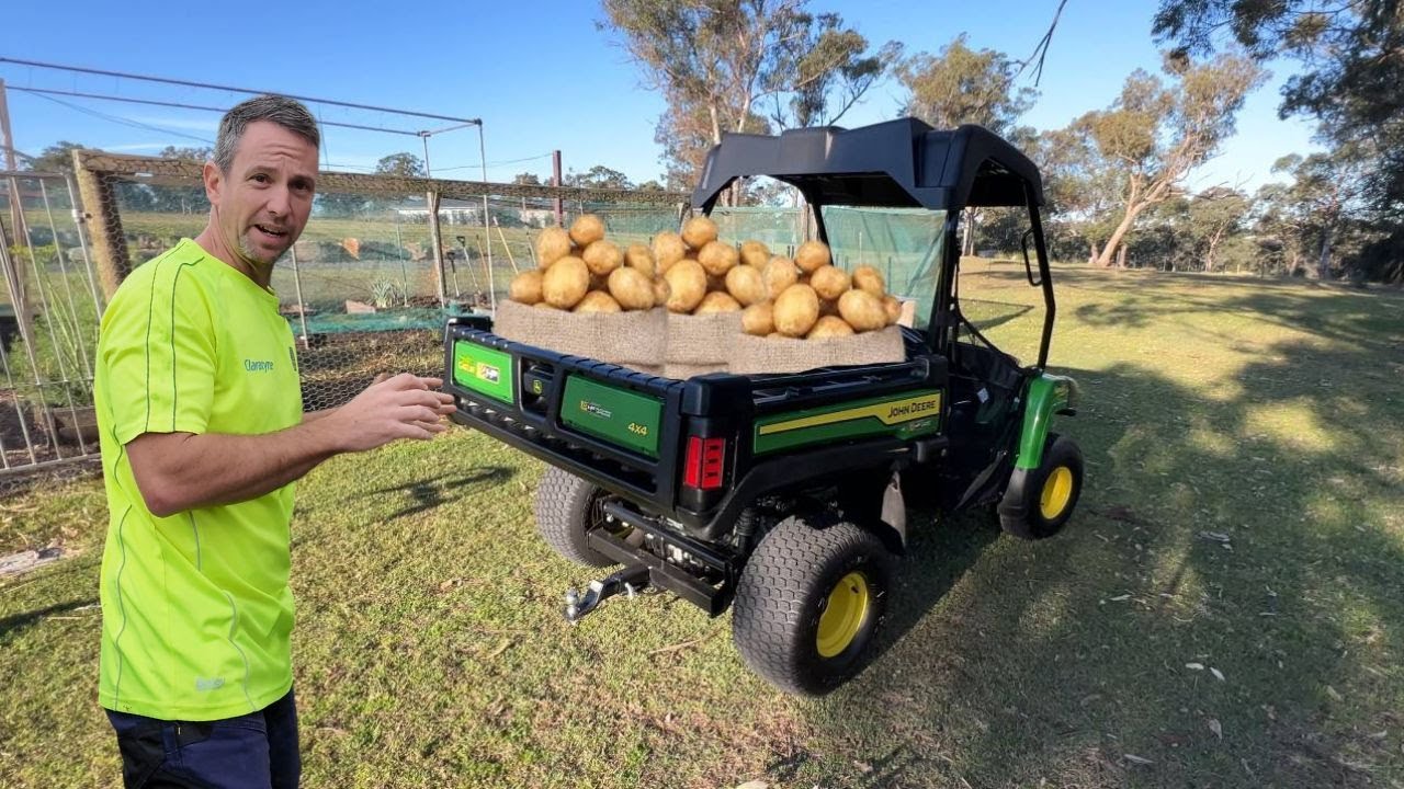 Rookie Veggie Gardener Grows Potatoes! Turf And Tools Homestead