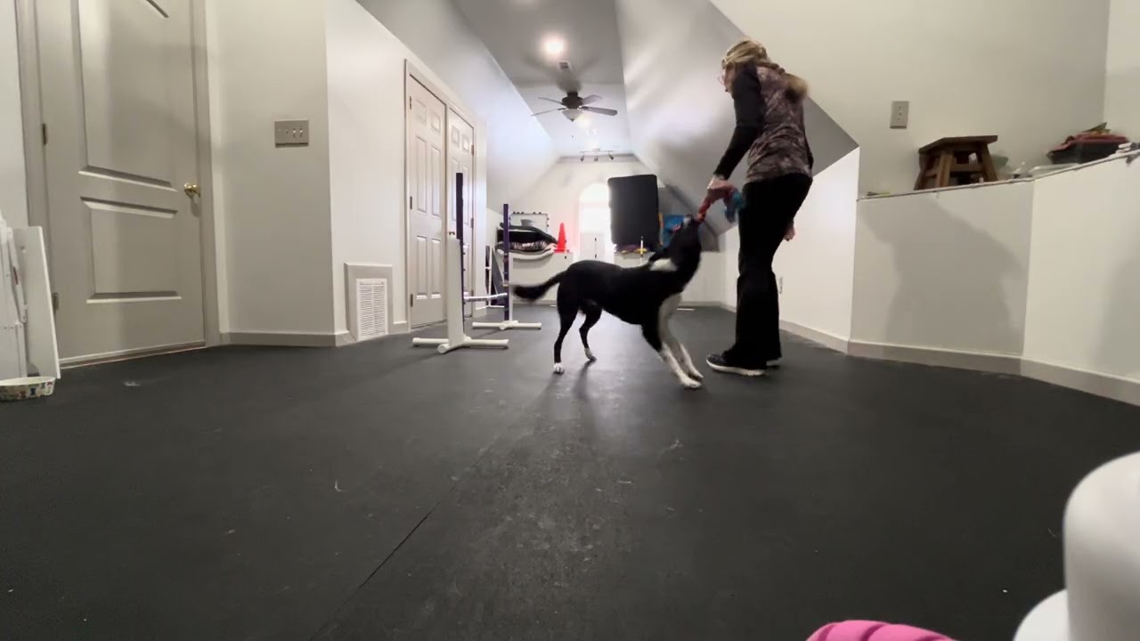 Watch jump vs weaves/get it (inside) 2nd session