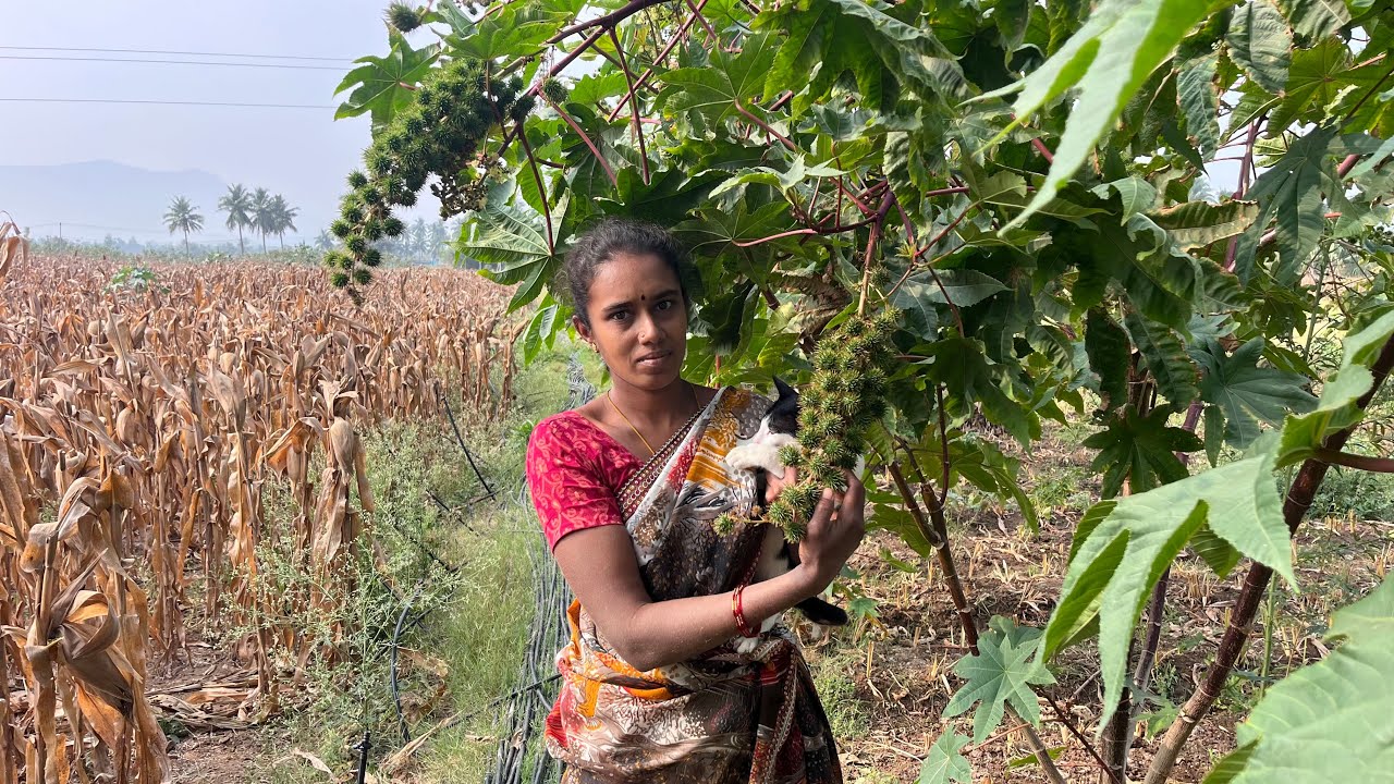 எங்க வீட்டின் செல்லக் குழந்தைகள் 🧒 #food #agriculture #villagelife #tamil #farming #tamilfarmer🥰🌿☘️🌿