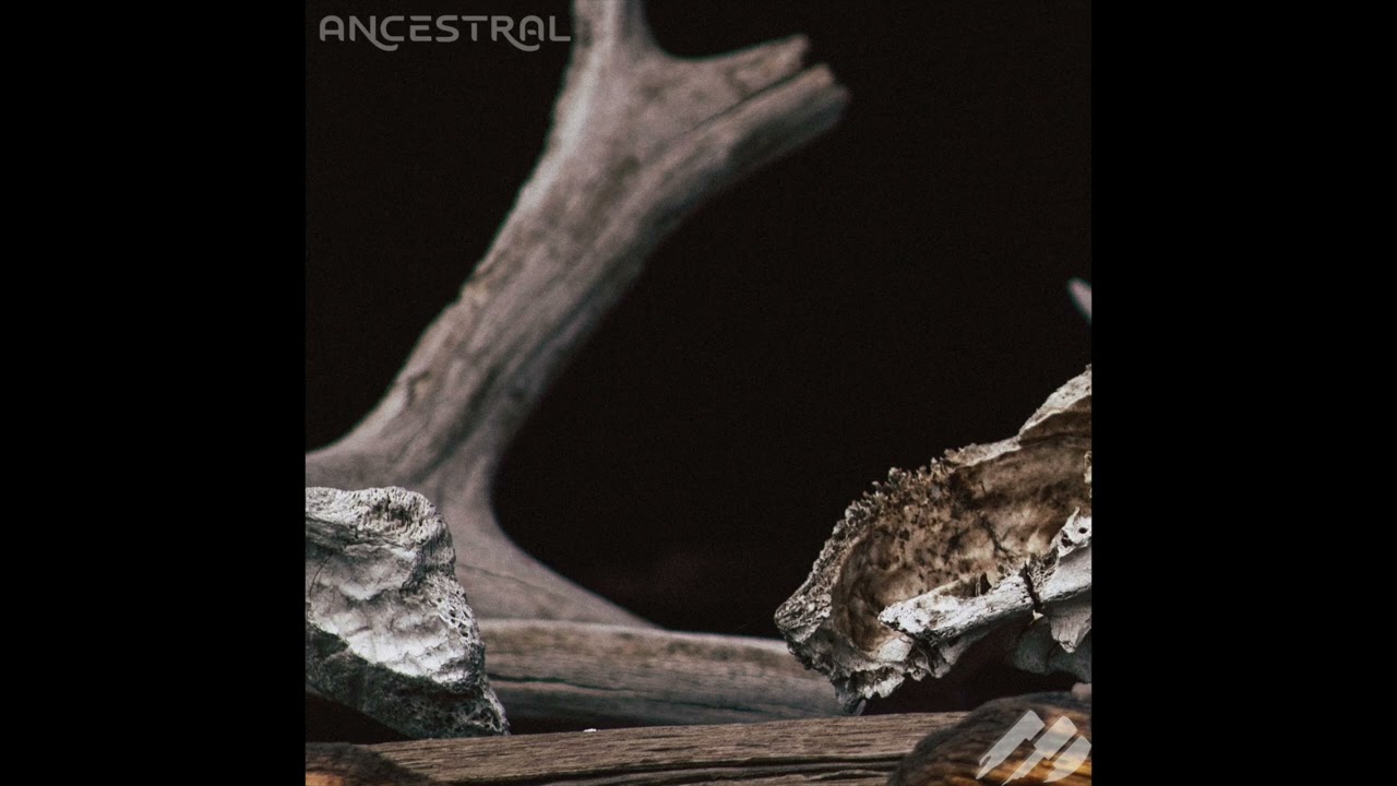 Ross Lara - Ancestral EP