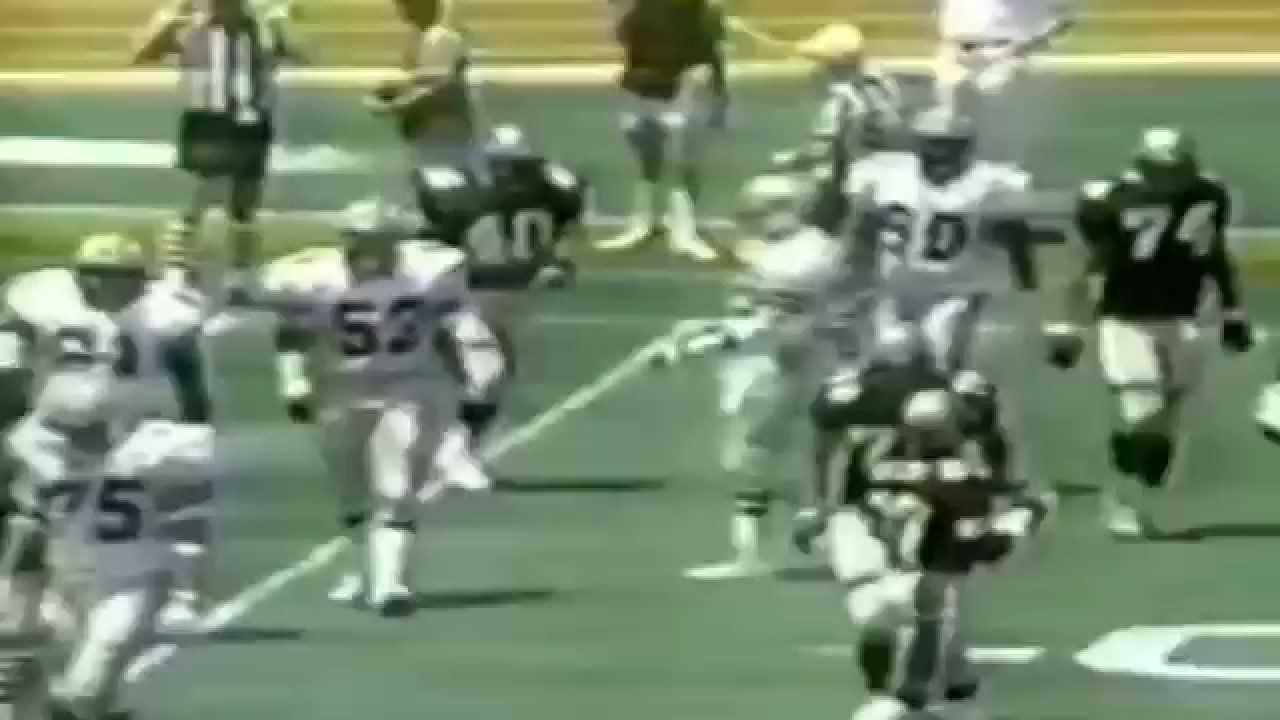 1984 - USFL Divisional Playoffs: Michigan Panthers vs Los Angeles Express